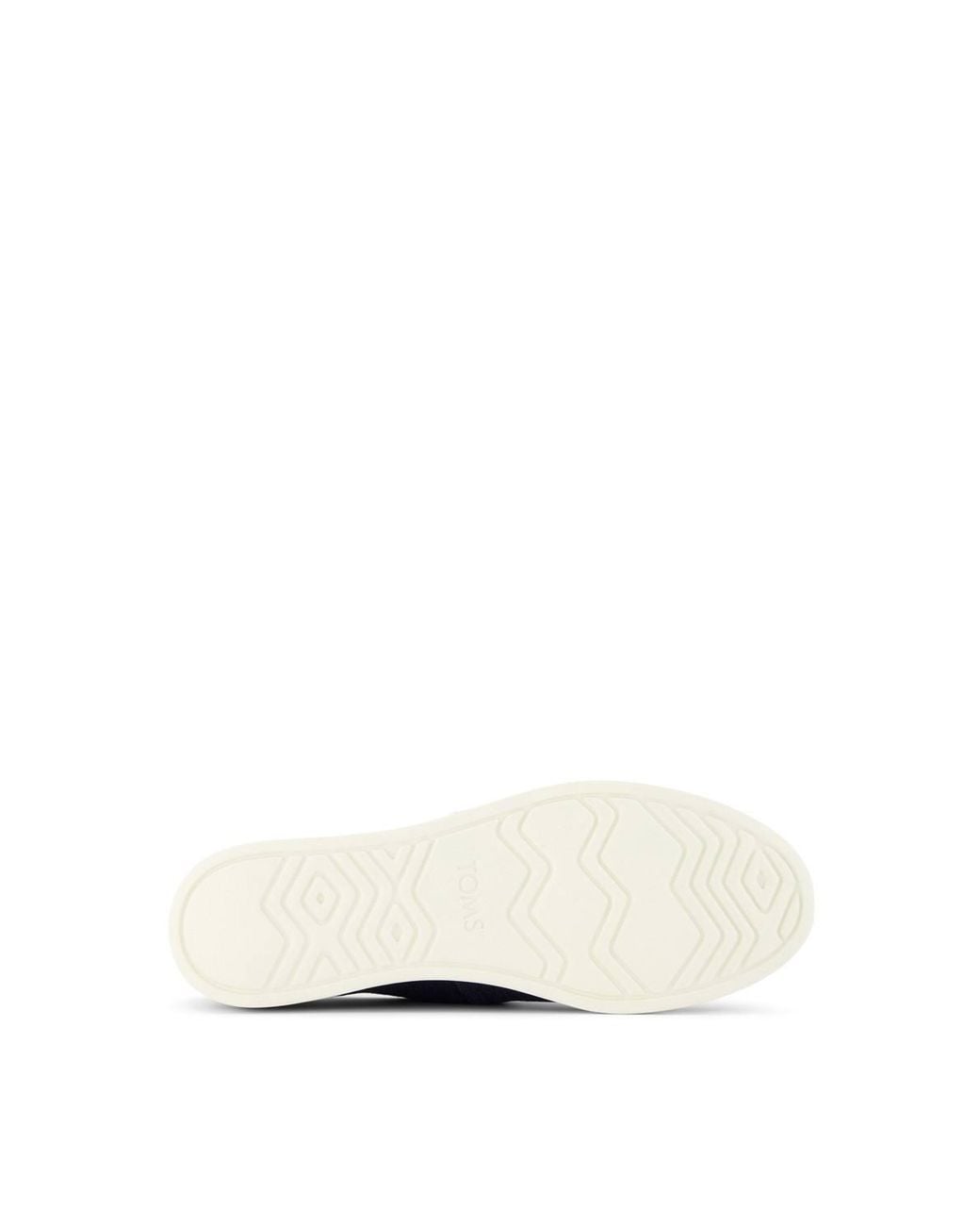 TOMS Blue Alpargata Plus Shoe