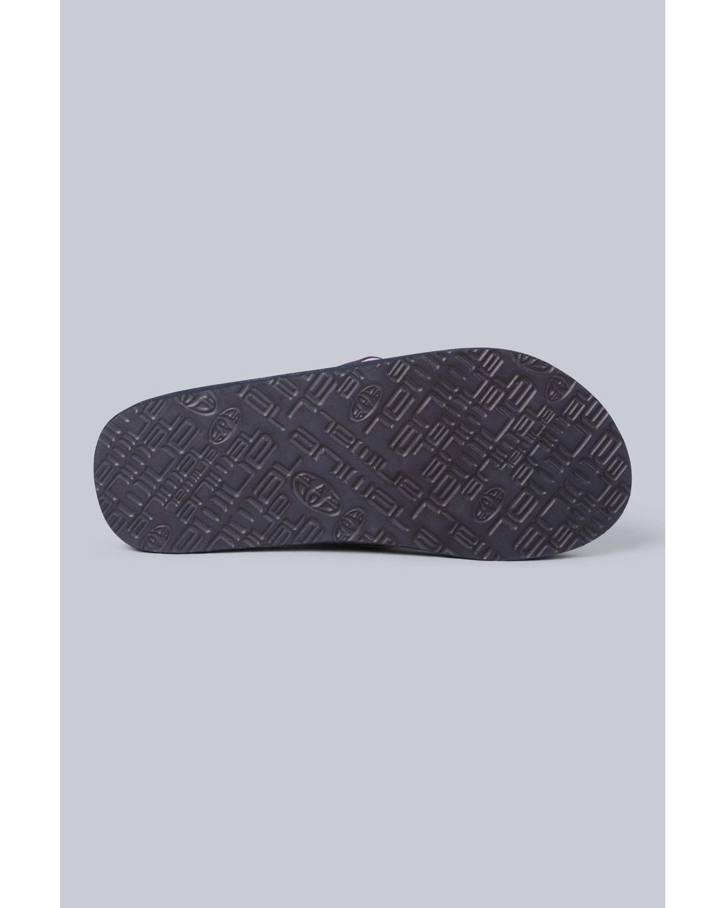 Animal Blue Swish All Over Printed Flip Flop