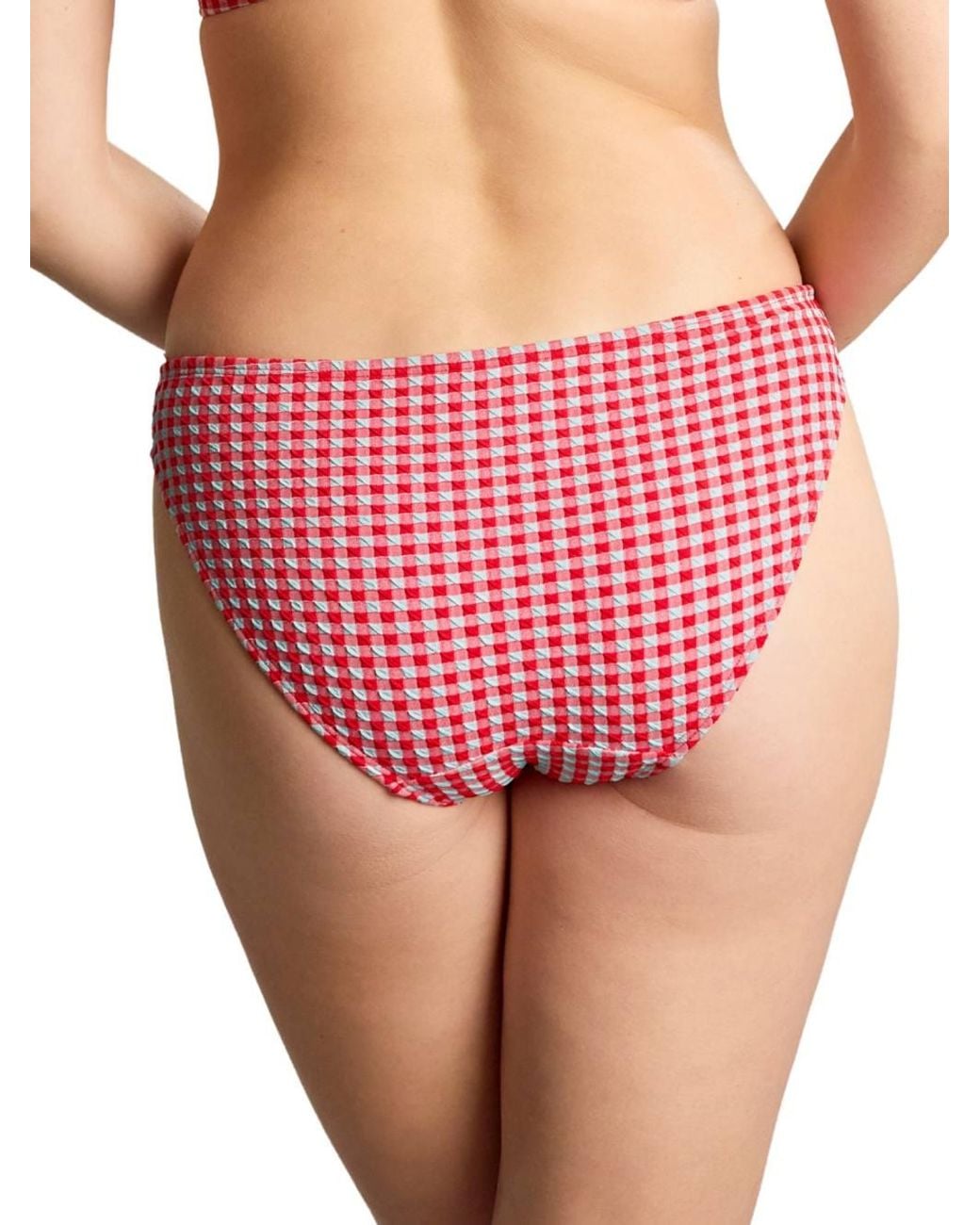 Panache Red Gingham Classic Bikini Brief
