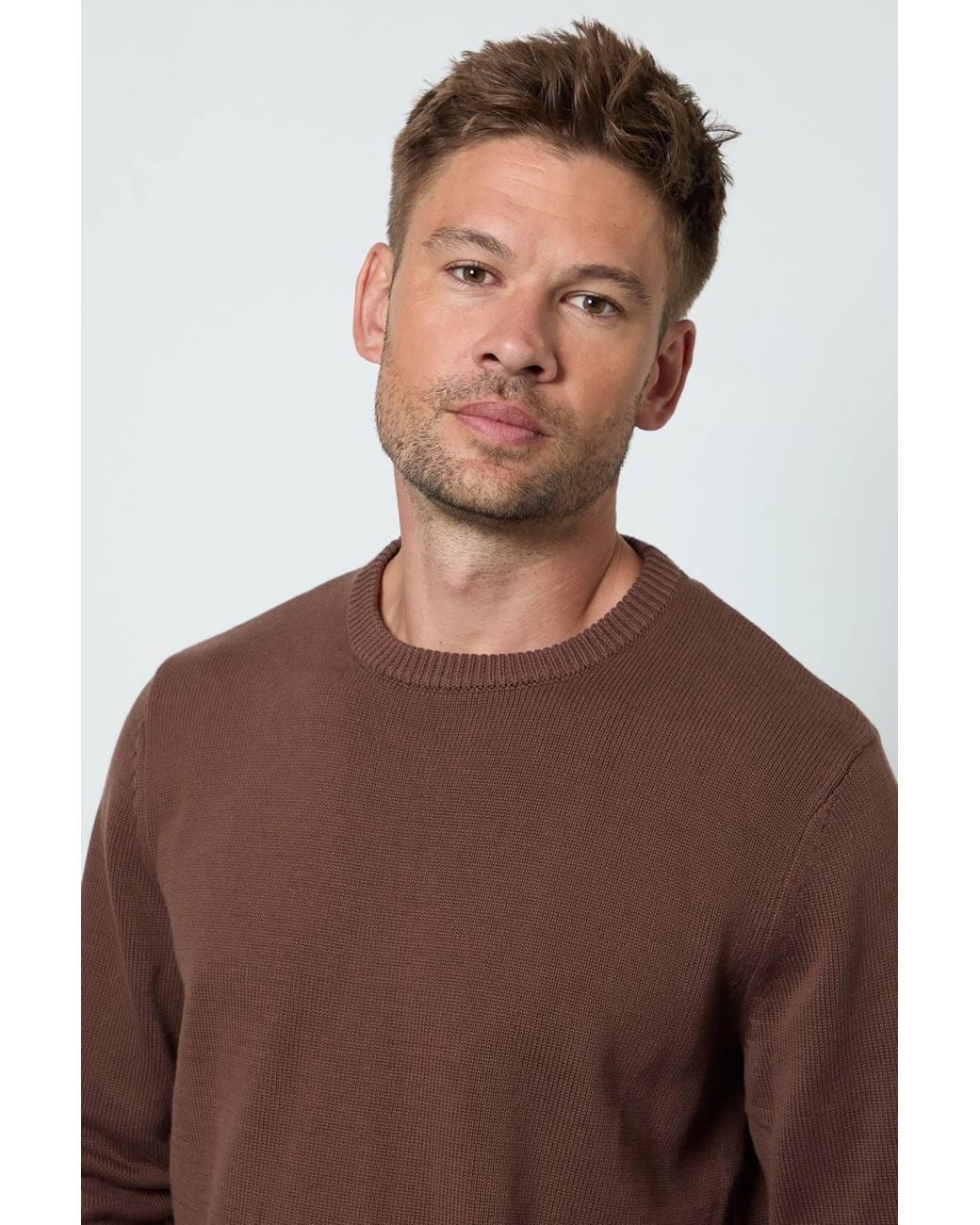 MAINE Brown Chocolate Premium Pure Cotton Crew Neck Jumper for men