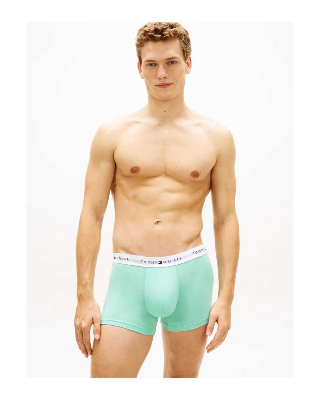Tommy Hilfiger Gray 5P Trunk Multi for men