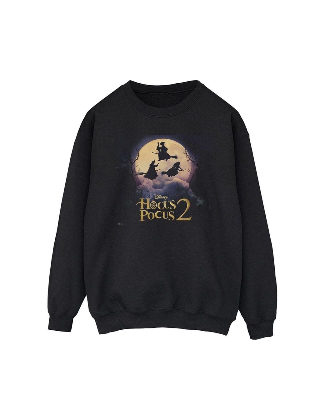 Disney Black Hocus Pocus Witches Flying Sweatshirt for men