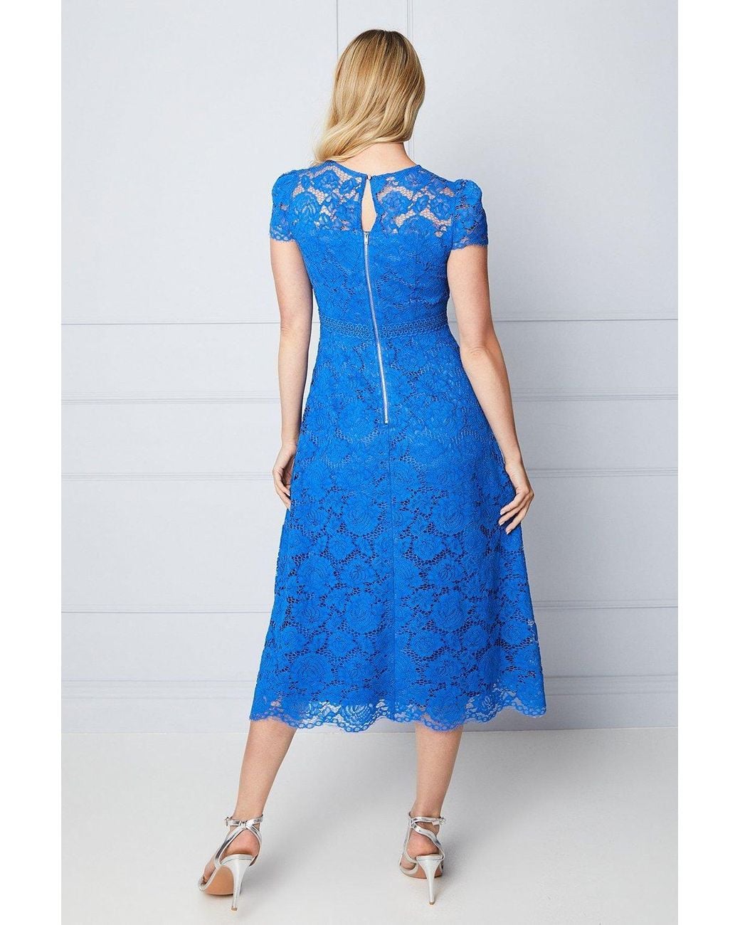 Wallis Blue Lace Fit & Flare Midi Dress