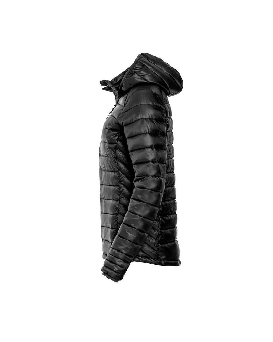 Clique Black Hudson Padded Jacket