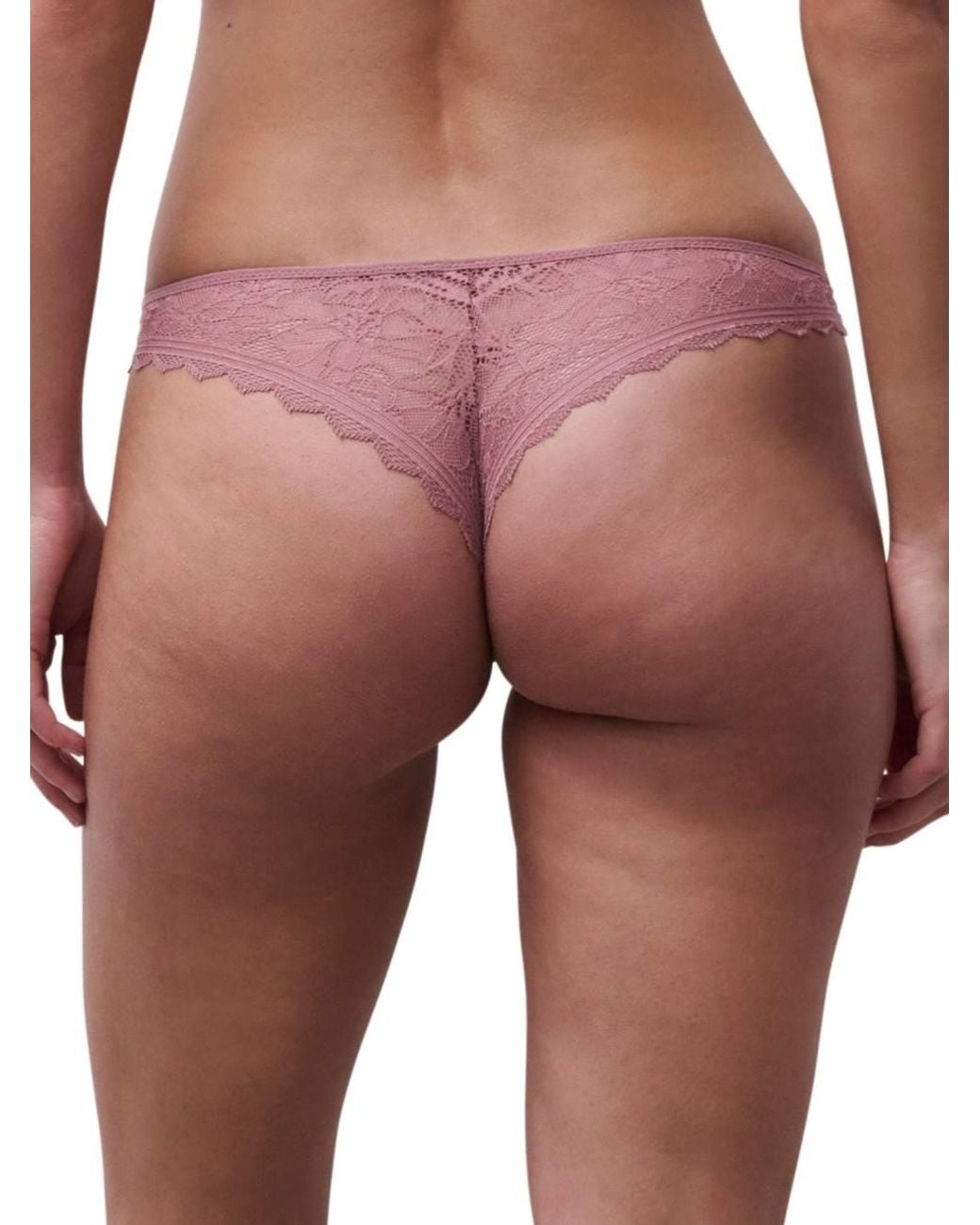 Chantelle Purple Easy Feel Floral Touch Tanga