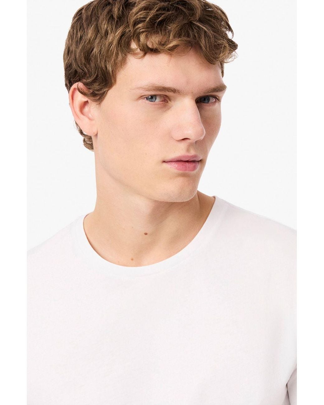 Lacoste Black T-Shirt Multi Pack for men