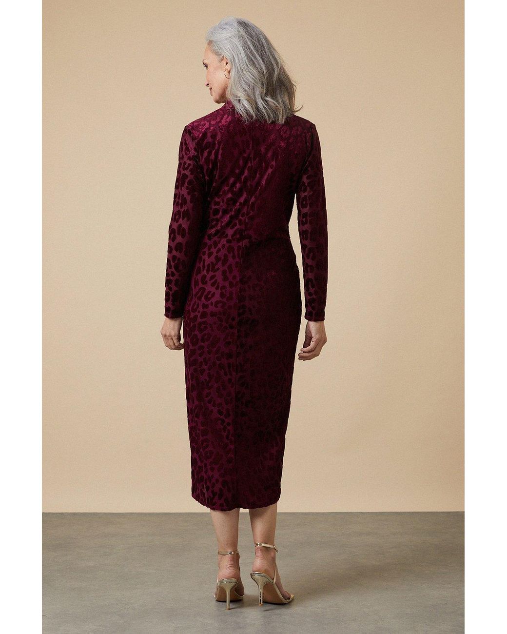Wallis berry clearance dress