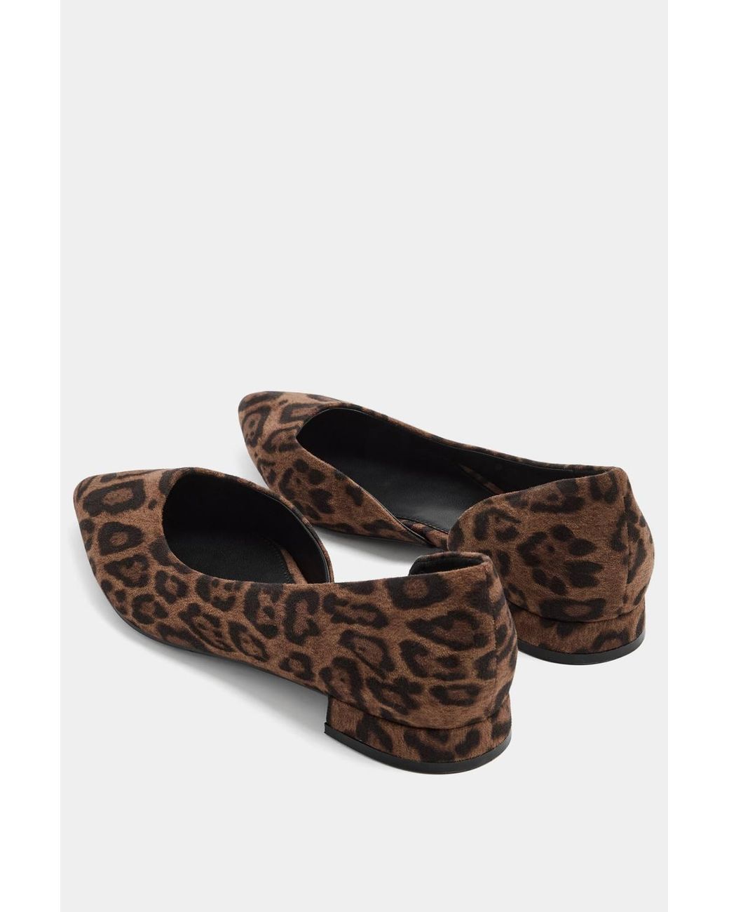 Long Tall Sally Blue Leopard Pointed Ballerina Pumps