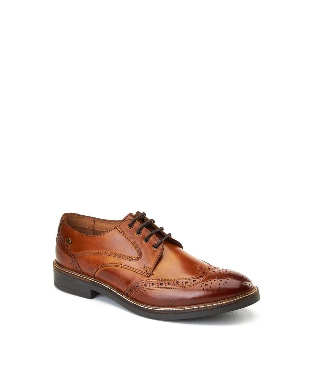 Base London Brown York Brogue Shoe for men