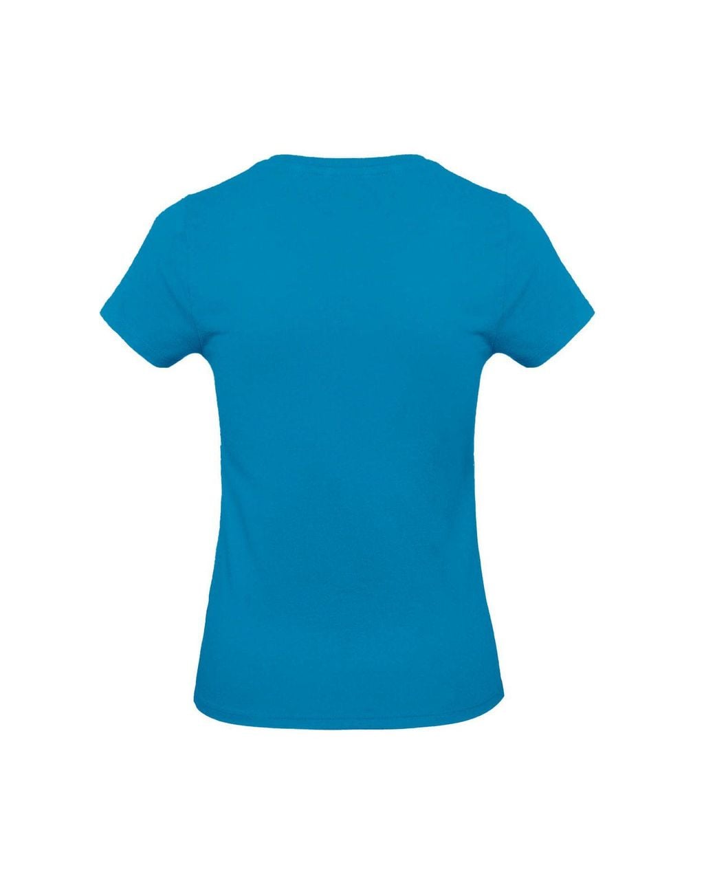 Bc Blue E190 T-Shirt