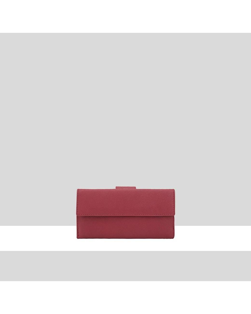 Dents Brown Carman Leather Purse