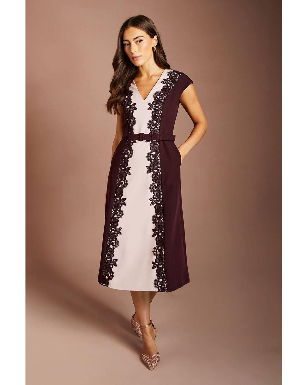 Coast Brown Lace Trim Colour Block Belted Midi Dress
