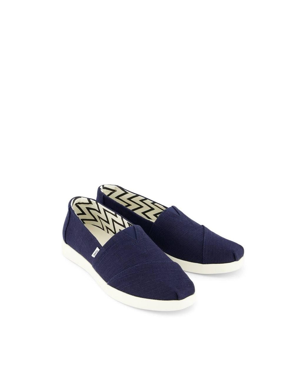 TOMS Blue Alpargata Plus Shoe