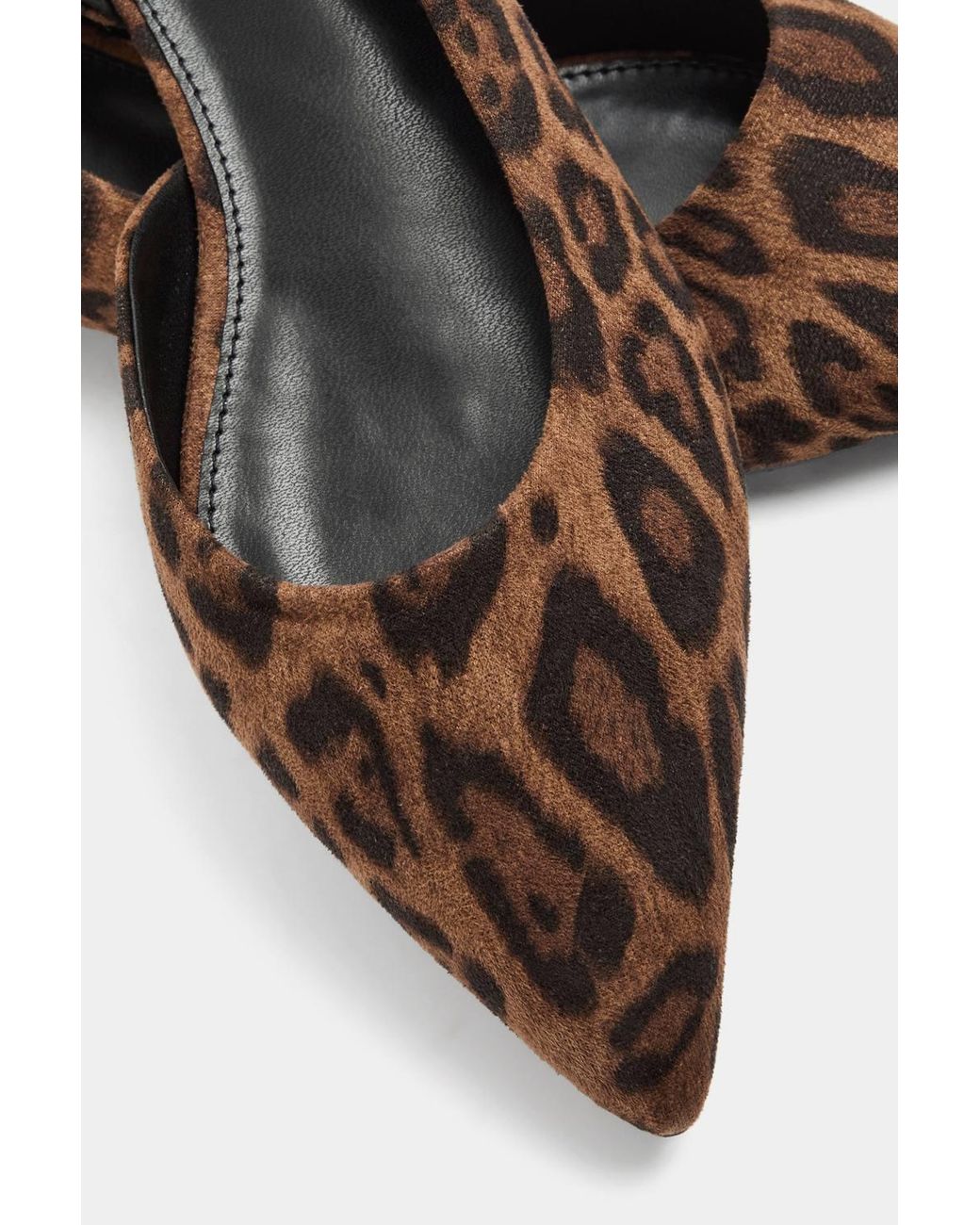 Long Tall Sally Blue Leopard Pointed Ballerina Pumps