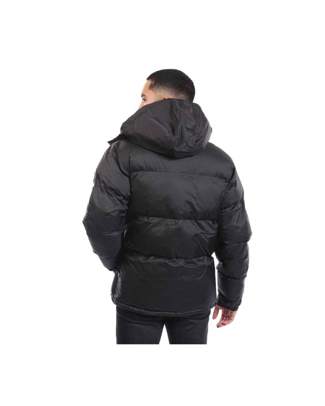Nautica Black Roy Puffer Jacket for men