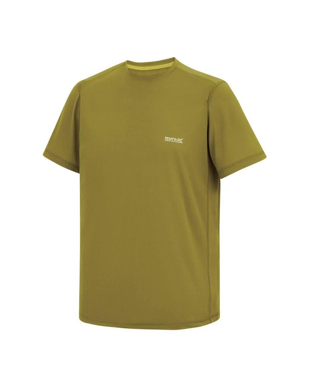 Regatta Green Mindo Anti-Insect Short Sleeved Mesh T-Shirt for men