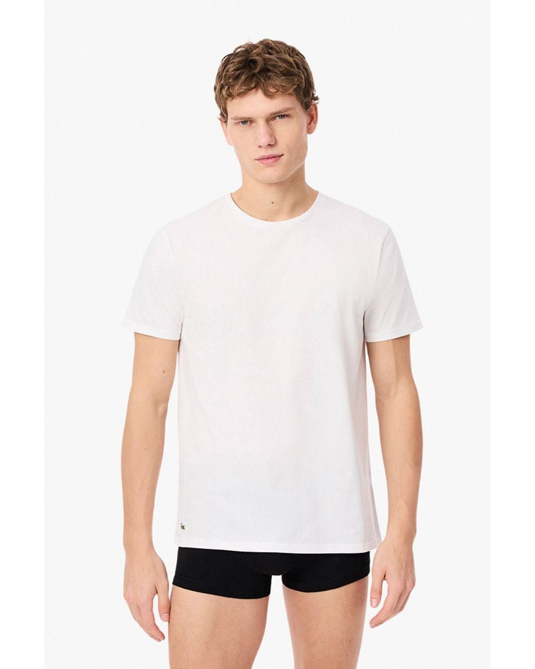 Lacoste Black T-Shirt Multi Pack for men