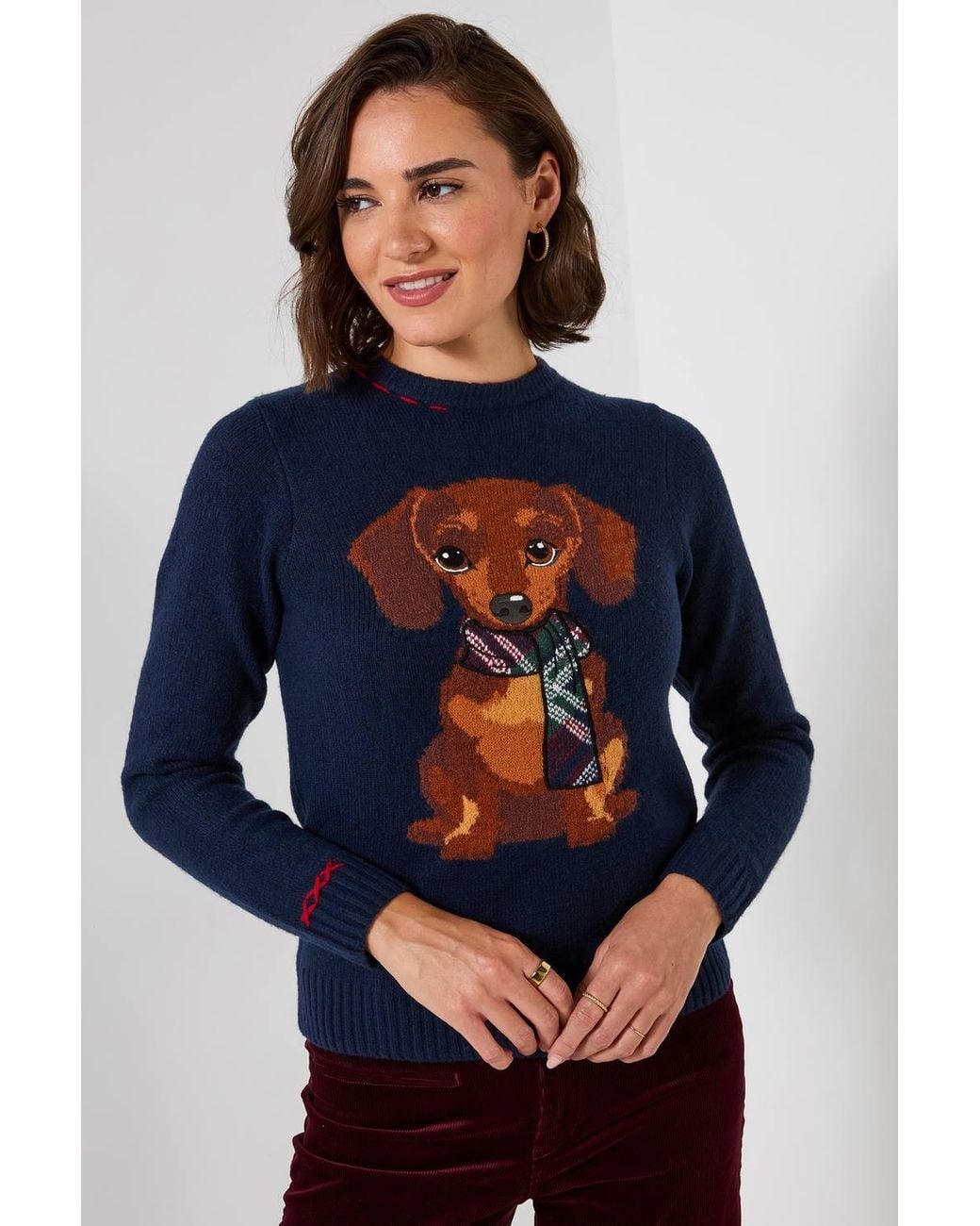 Joe Browns Blue Trixie Embroidered Sausage Dog Jumper
