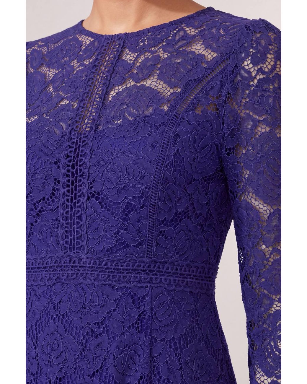 Wallis Purple Petite Lace Fit & Flare Midi Dress