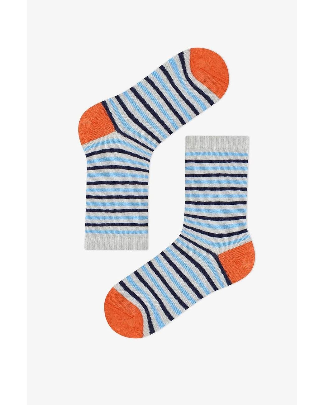 Penti Blue Mystic Dragons Animal Print 4-Pack Ankle Socks