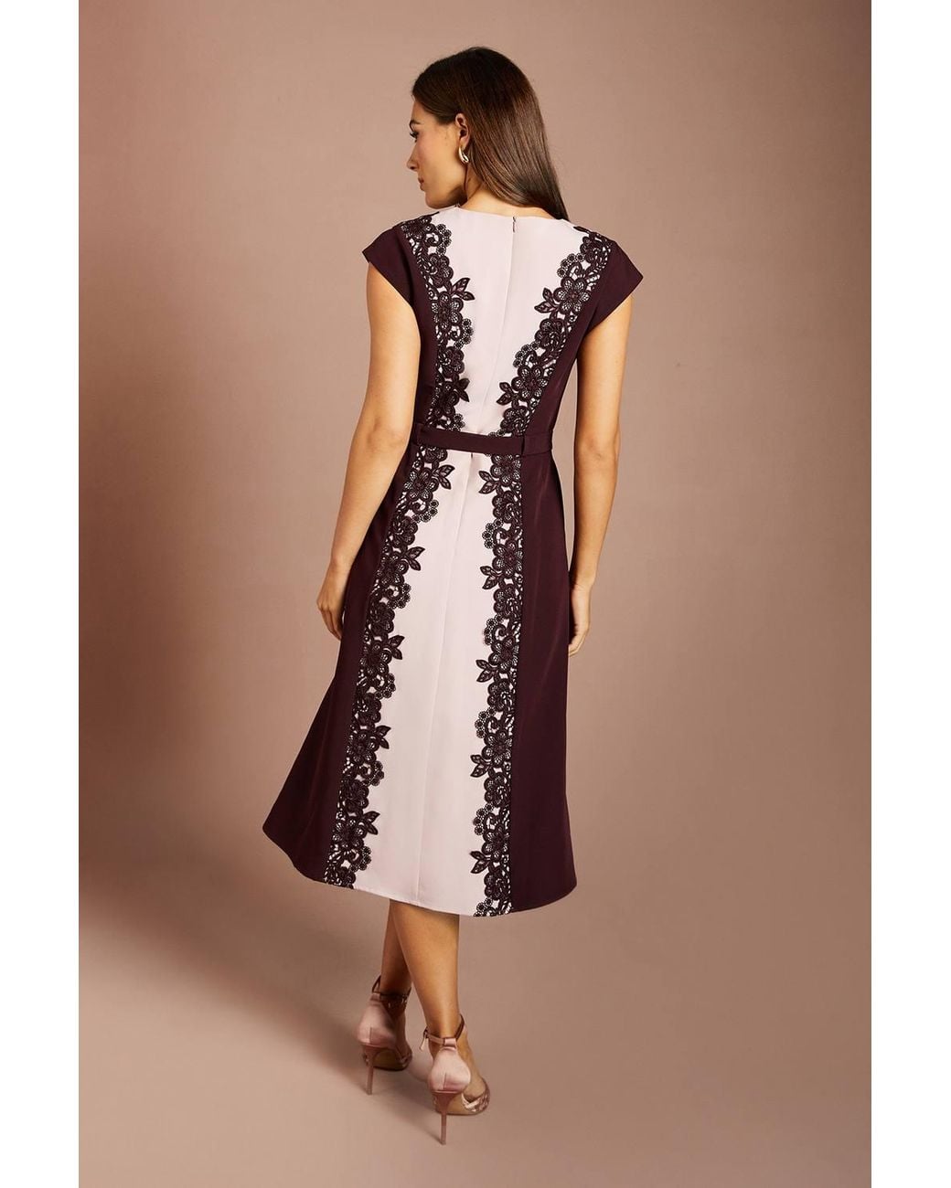 Coast Brown Lace Trim Colour Block Belted Midi Dress