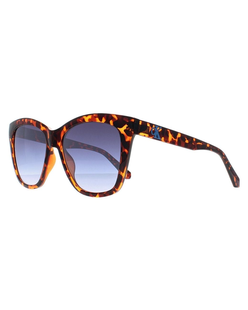 Calvin Klein Blue Square Havana Gradient Ckj22608S