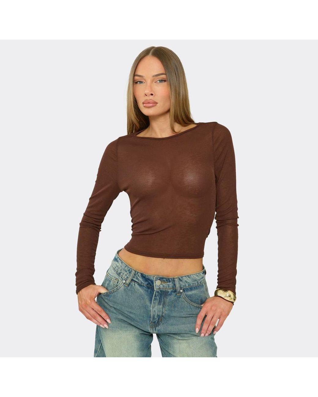 EGO Brown Long Sleeve Round Neck Sheer Sheer Top
