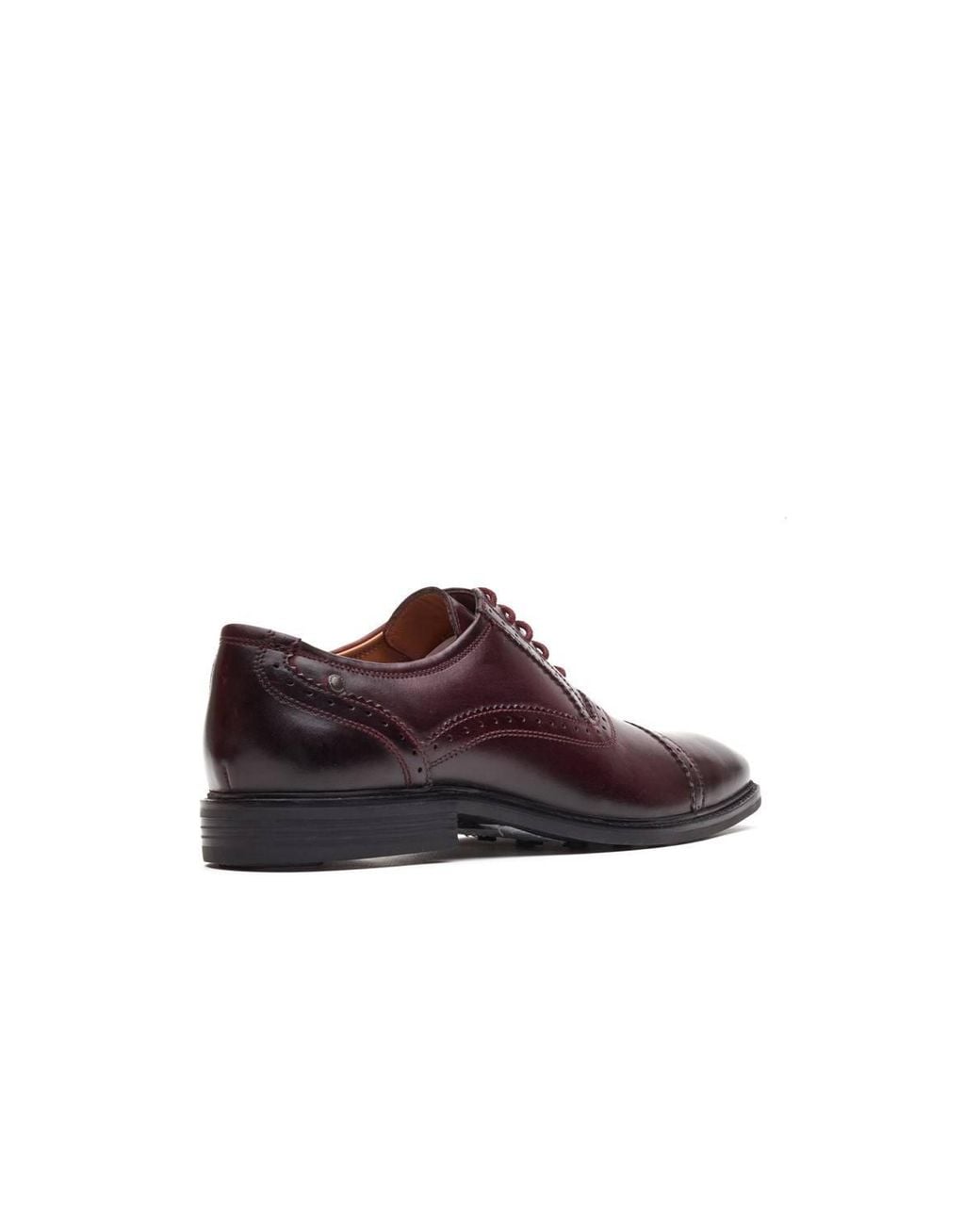 Base London Brown Ascot Toe Cap Oxford Shoe for men