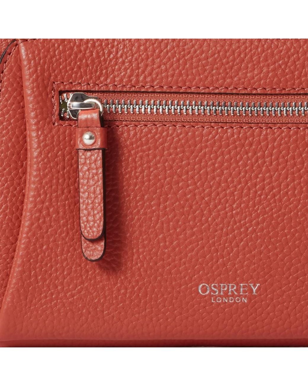 Osprey Blue The Ruby Leather Crossbody Clutch Bag
