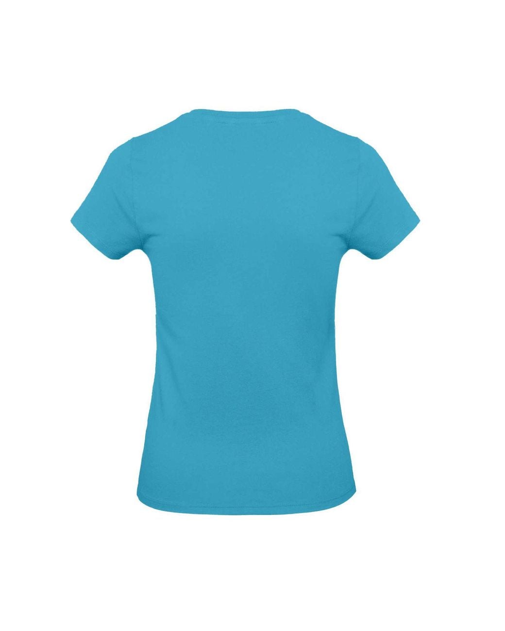 Bc Blue E190 T-Shirt