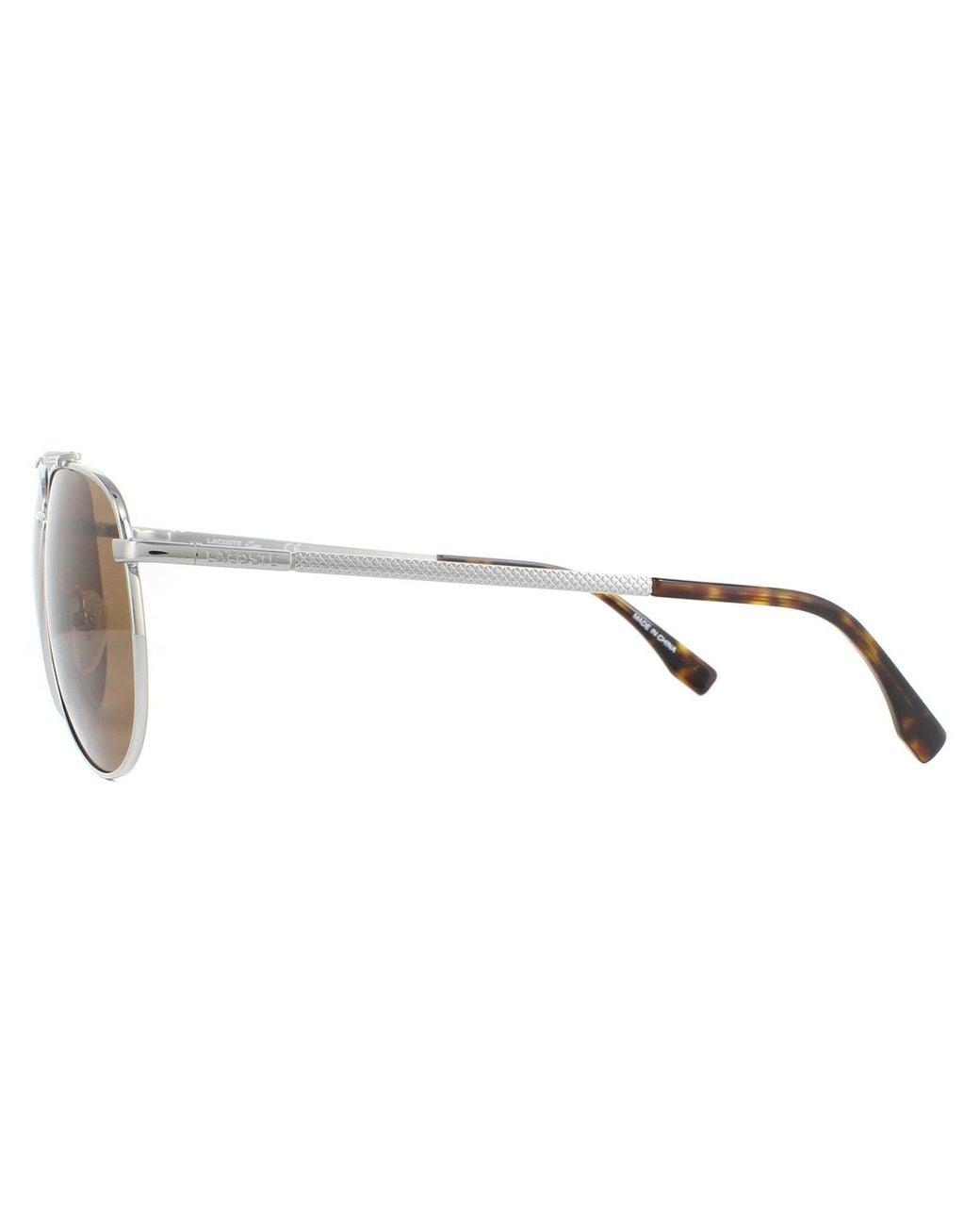 Lacoste Brown Aviator Gunmetal Sunglasses for men