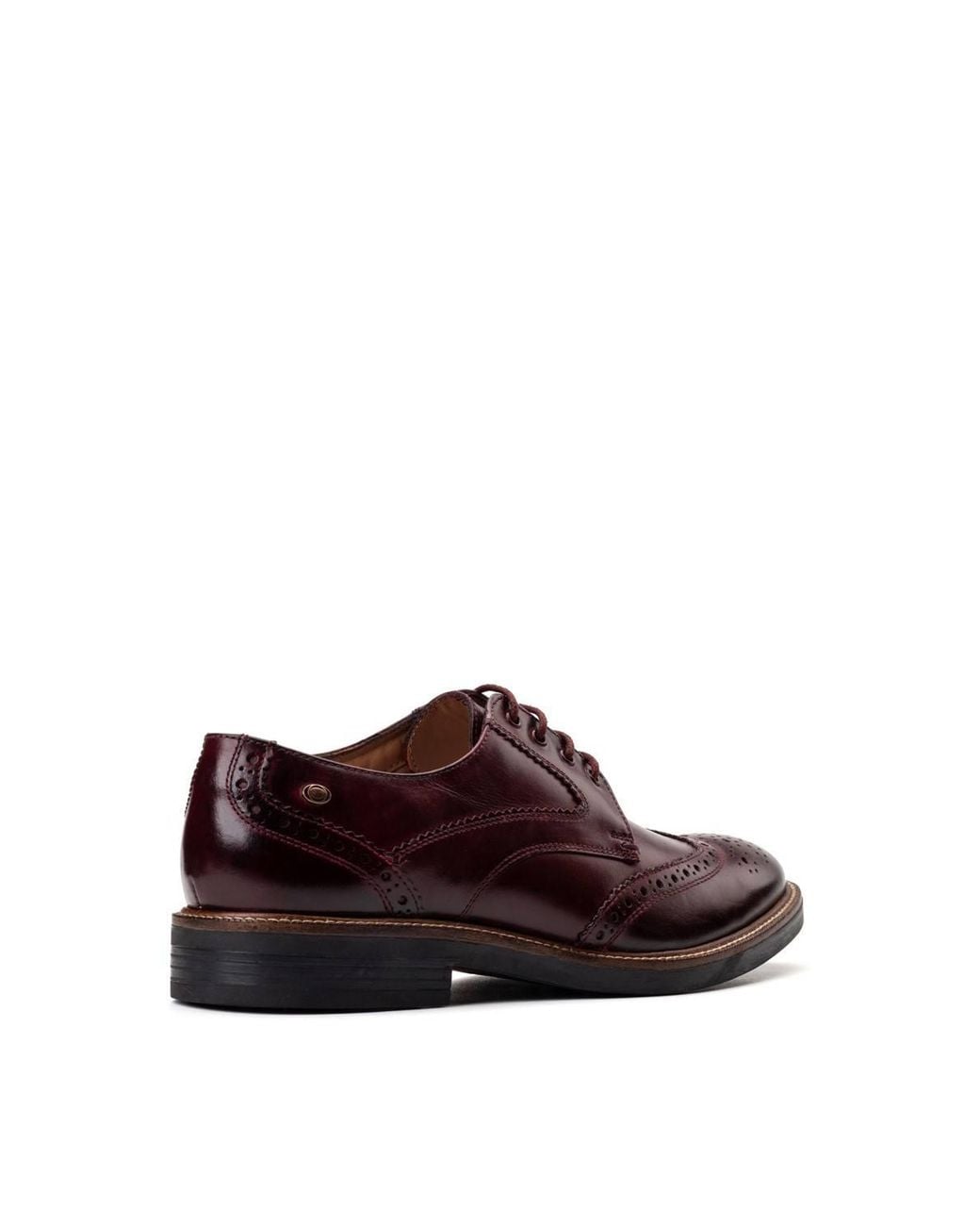 Base London Brown York Brogue Shoe for men