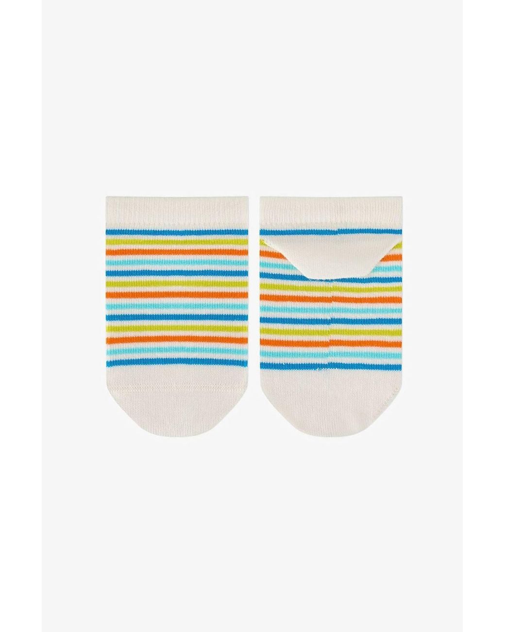 Penti Blue Striped Seagull Bird Pattern No-Show Socks