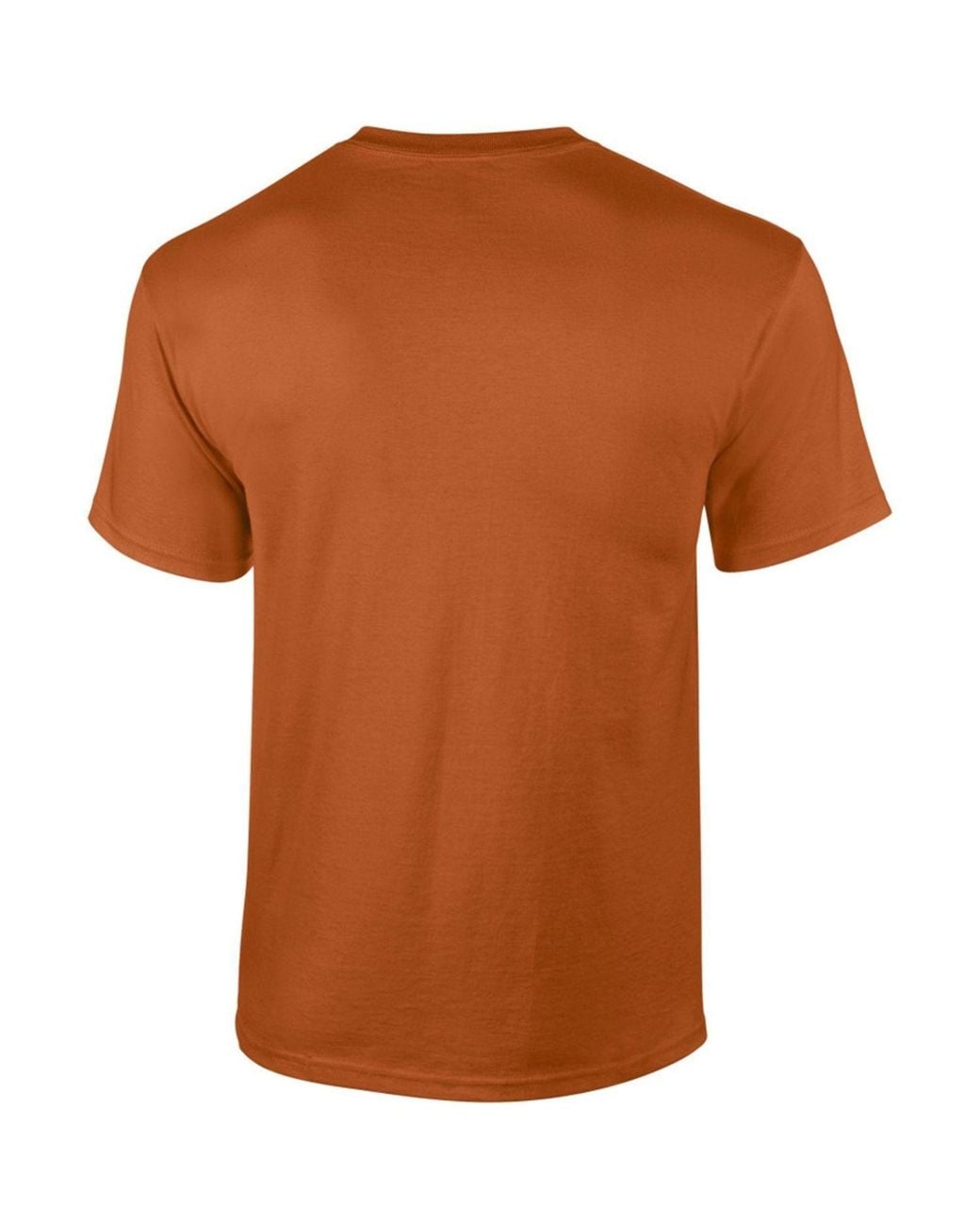 Gildan Brown Ultra Cotton Short Sleeve T-Shirt for men