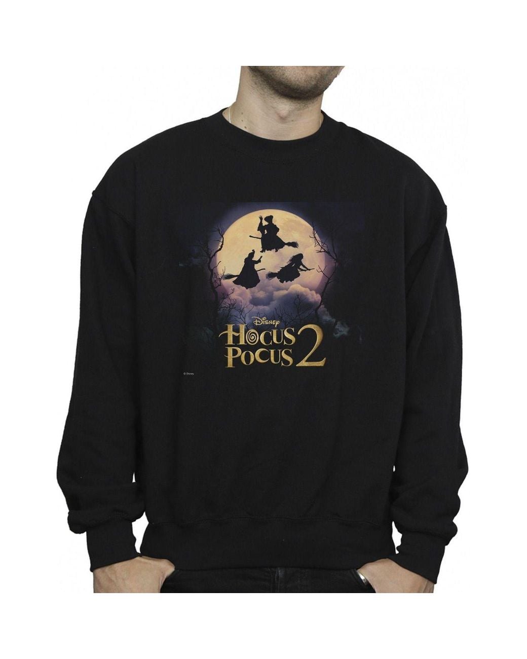 Disney Black Hocus Pocus Witches Flying Sweatshirt for men