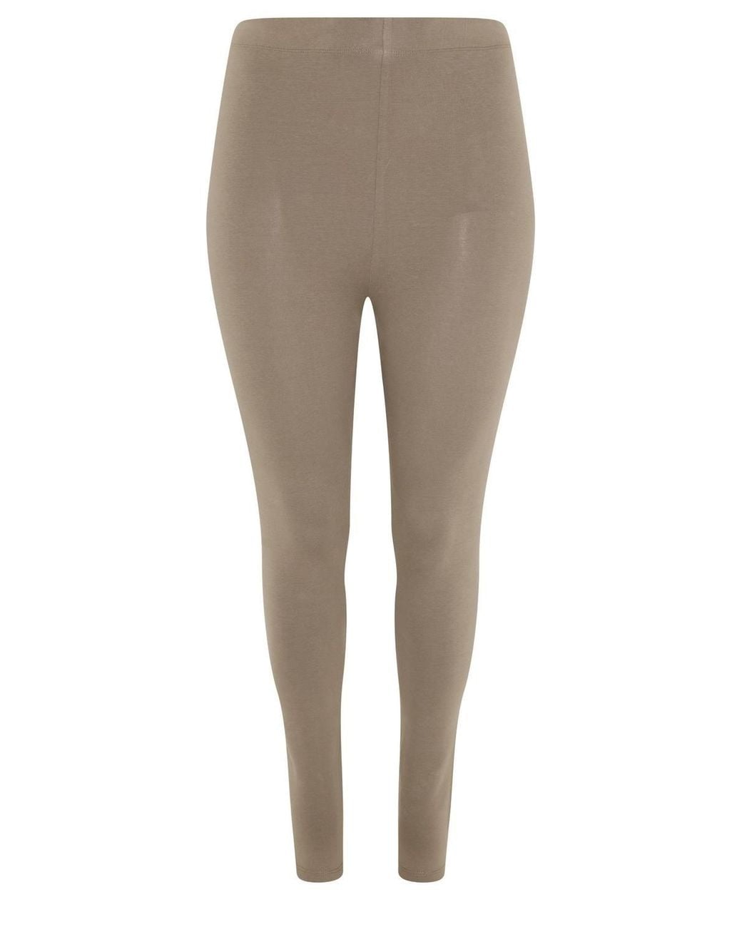 Yours Multicolor 4 Pack Leggings
