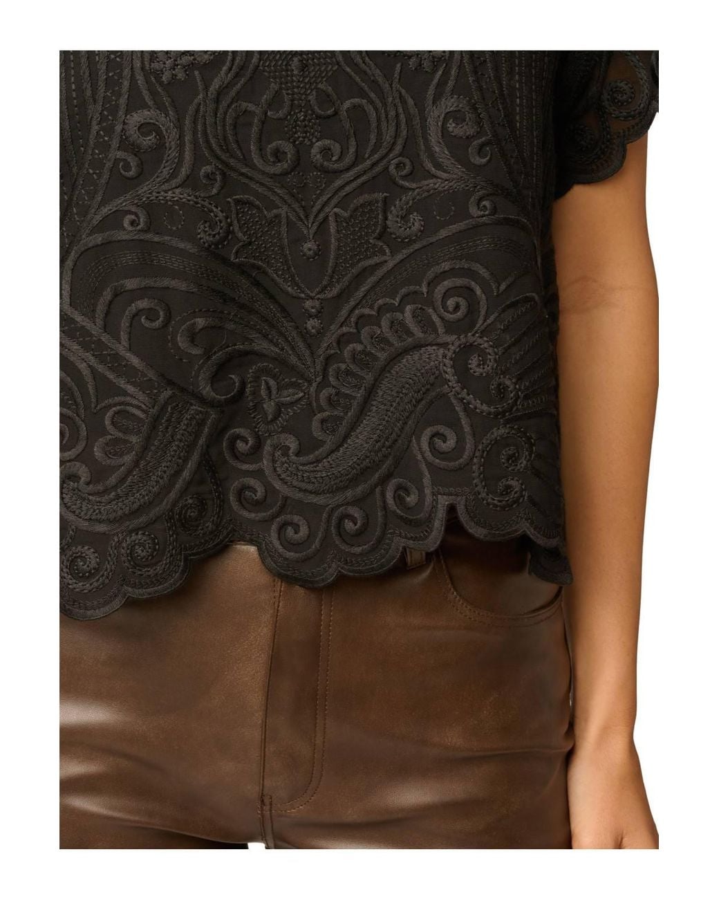 Adrianna Papell Black Embroidery Lace Top