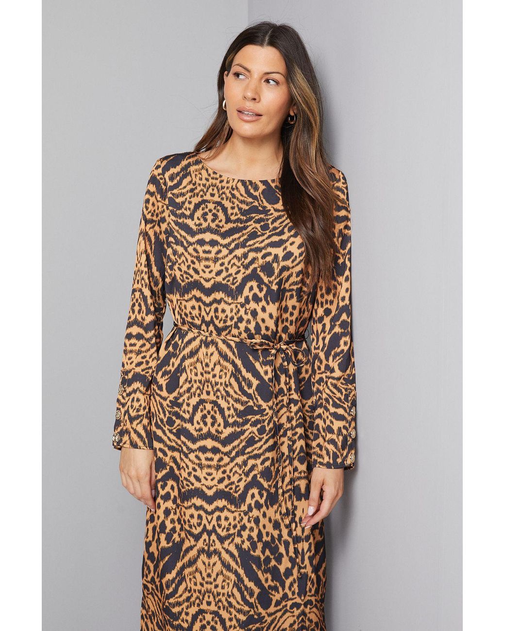 Wallis Natural Animal Print Belted Column Dress