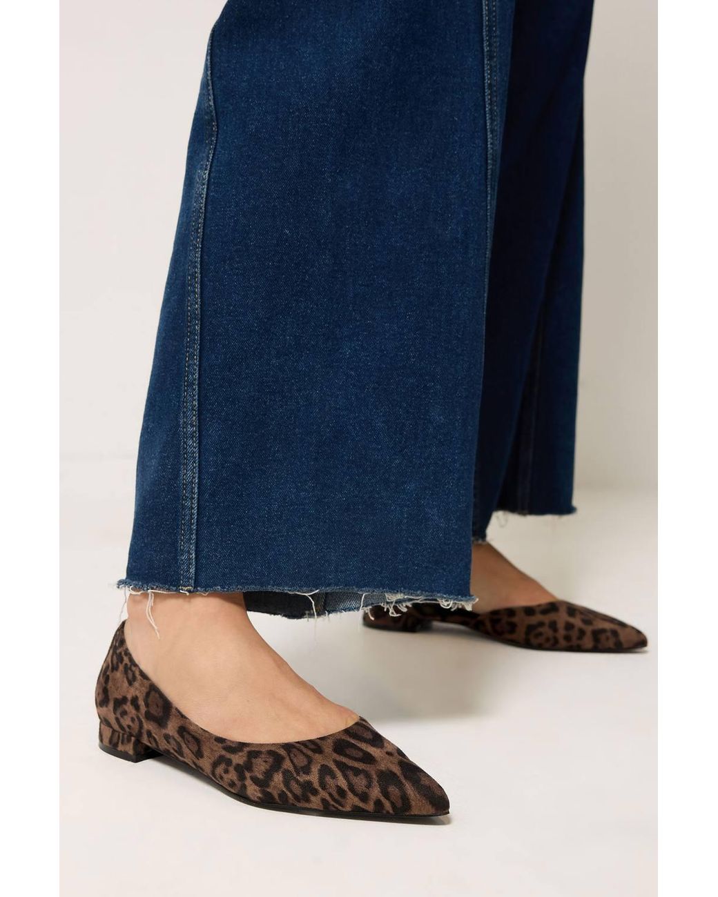 Long Tall Sally Blue Leopard Pointed Ballerina Pumps