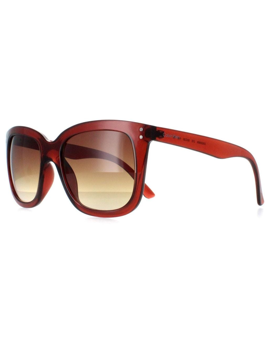 Calvin Klein Brown Square Transparent Gradient Ck22550S
