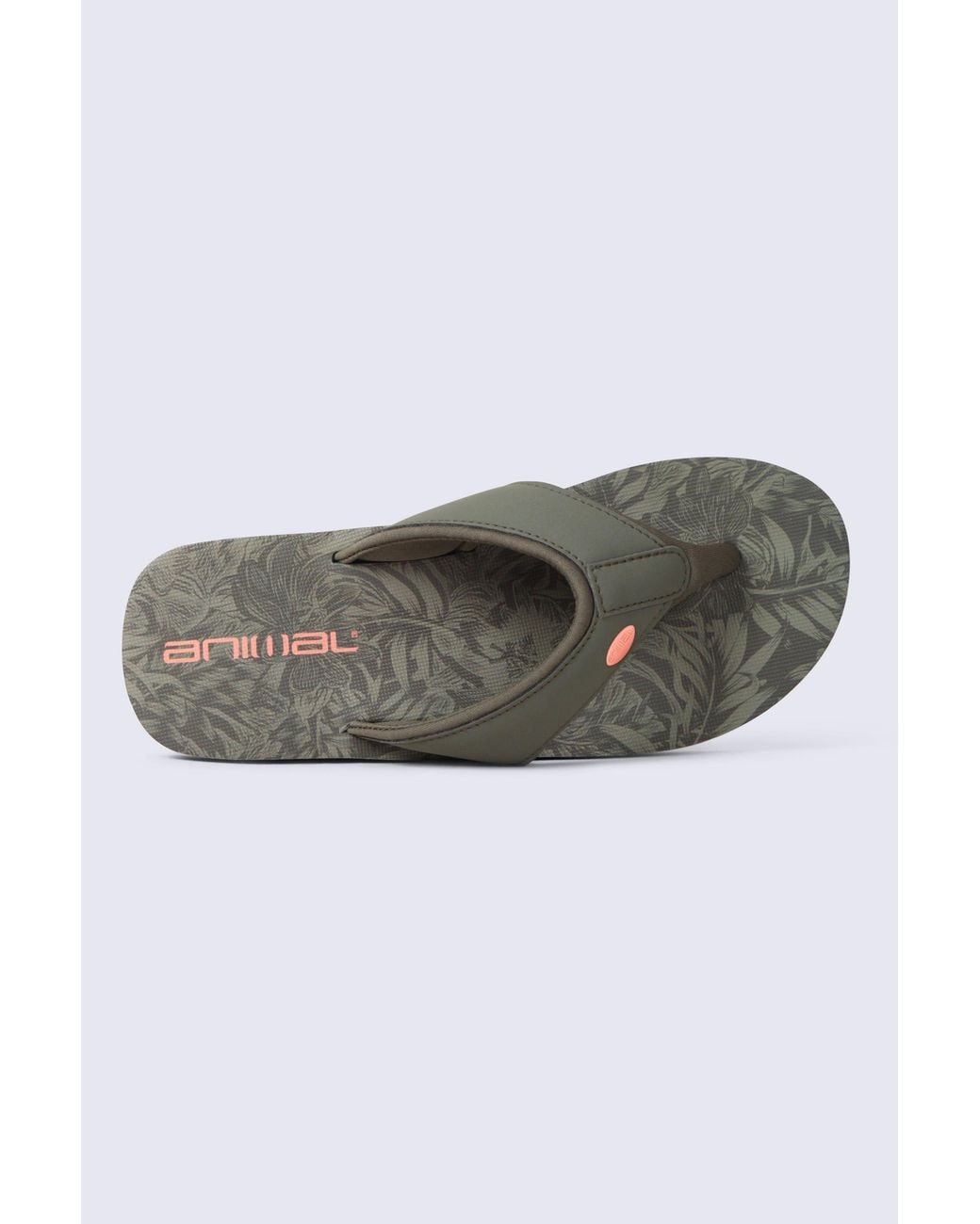 Animal Gray Swish All Over Printed Flip Flop