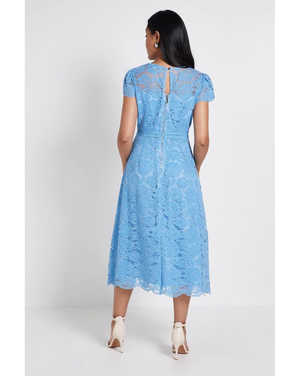 Wallis Blue Petite Lace Fit & Flare Midi Dress