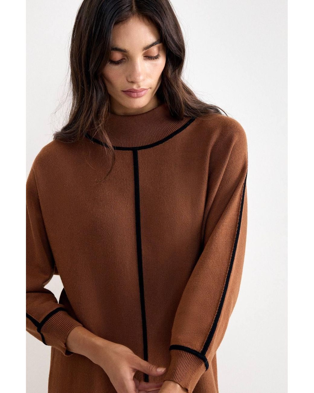 Phase Eight Brown Hallie Jumper Dress