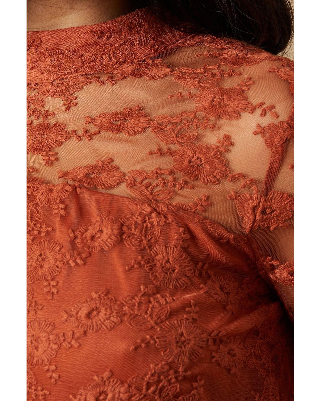 Warehouse Brown Embroidered Mesh High Neck Tier Smock Mini Dress