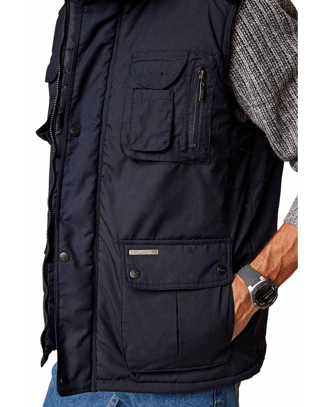 Chums Blue Champion Padded Gilet for men
