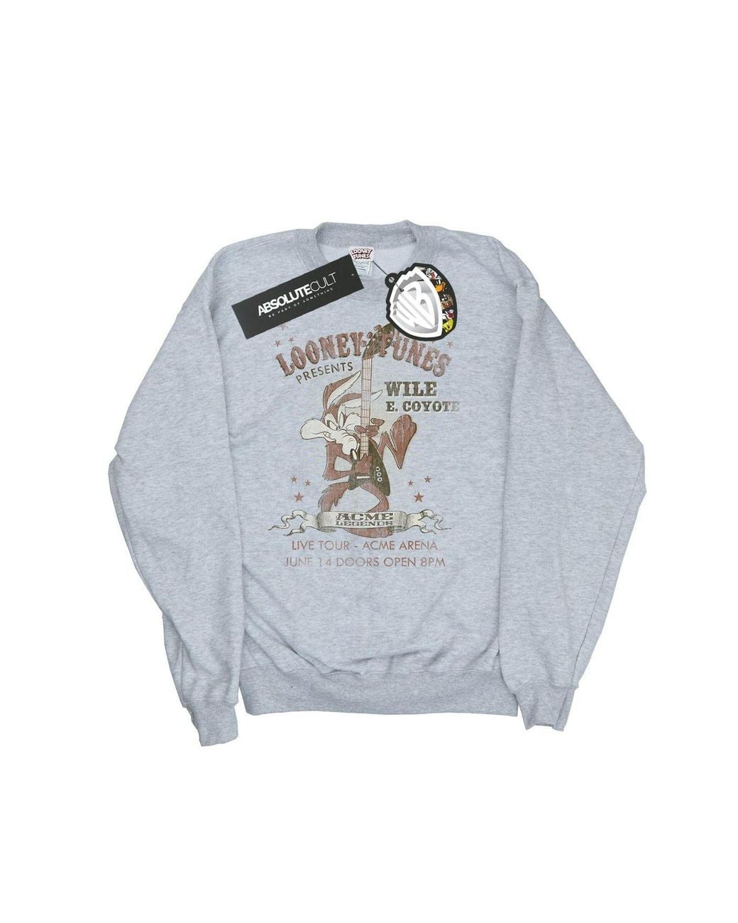 Looney Tunes Blue Wile E Coyote Guitar Sweatshirt