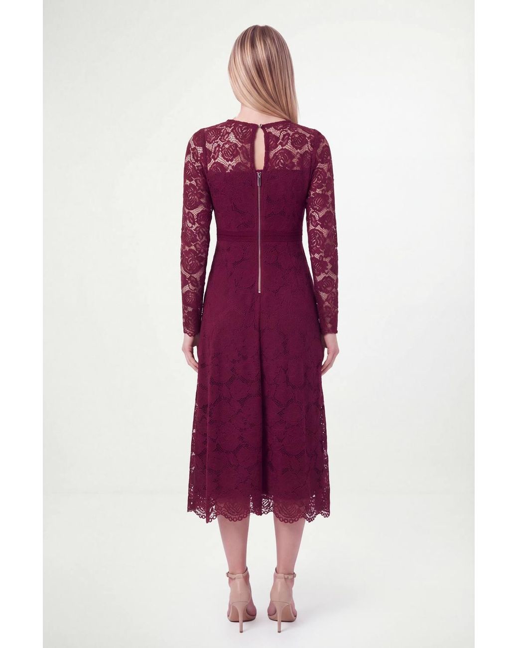 Wallis Purple Petite Lace Fit & Flare Midi Dress