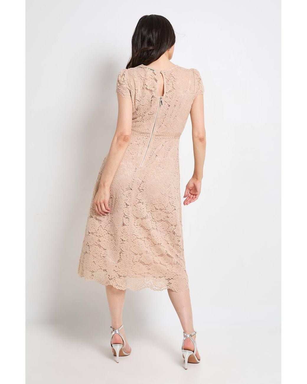 Wallis Natural Lace Fit & Flare Midi Dress