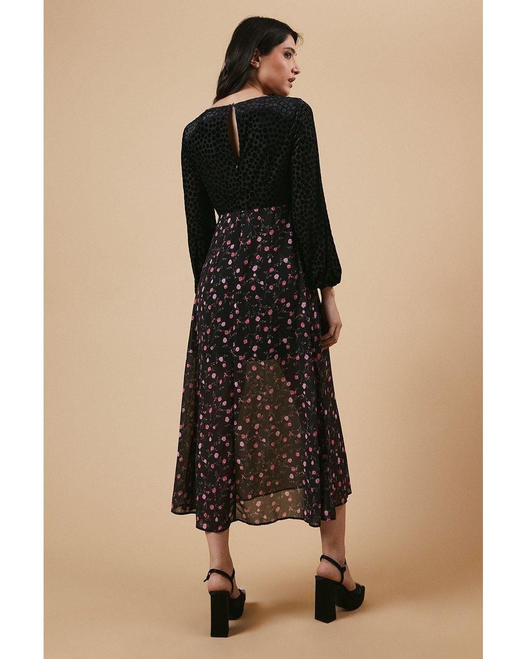 Oasis Natural Occasion Floral Spot Bodice Midi Dress