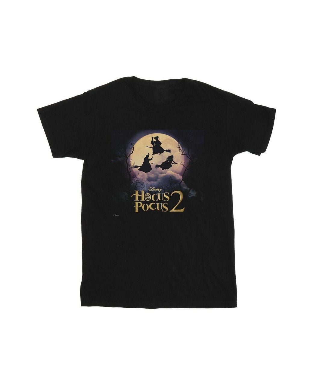 Disney Black Hocus Pocus Witches Flying T-Shirt for men